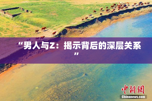 “男人与Z：揭示背后的深层关系”