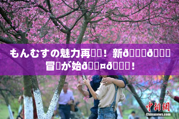 もんむすの魅力再発見！新👅🍑冒険が始🖤🌃！