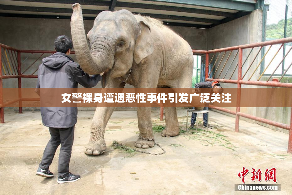 女警裸身遭遇恶性事件引发广泛关注