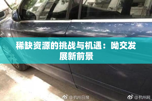 稀缺资源的挑战与机遇：呦交发展新前景