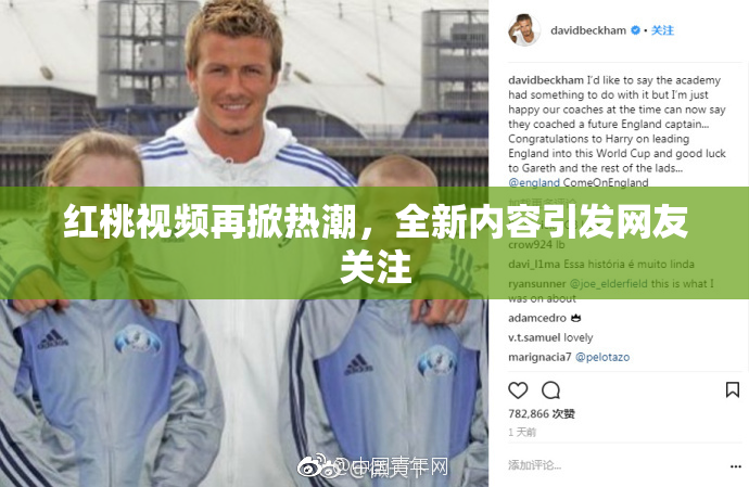 红桃视频再掀热潮，全新内容引发网友关注