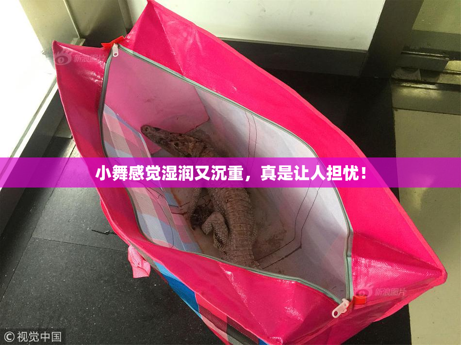 小舞感觉湿润又沉重，真是让人担忧！