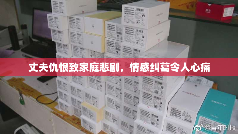 丈夫仇恨致家庭悲剧，情感纠葛令人心痛