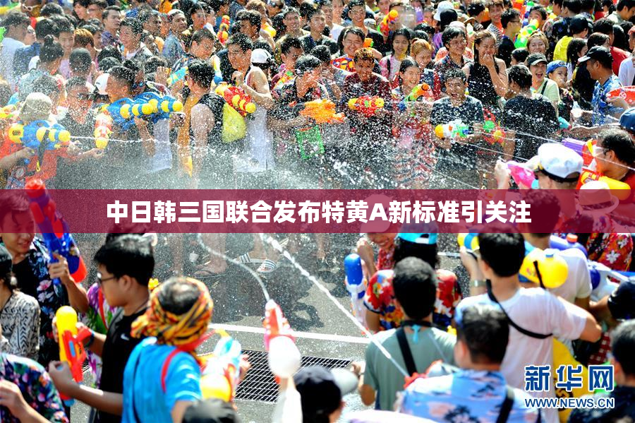 中日韩三国联合发布特黄A新标准引关注