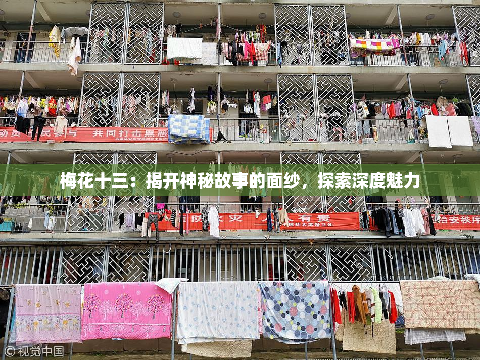 梅花十三：揭开神秘故事的面纱，探索深度魅力