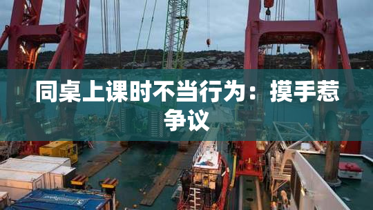同桌上课时不当行为：摸手惹争议