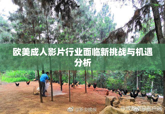欧美成人影片行业面临新挑战与机遇分析