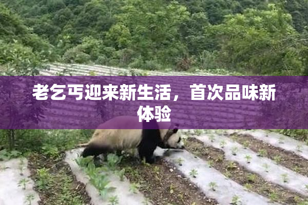 老乞丐迎来新生活，首次品味新体验