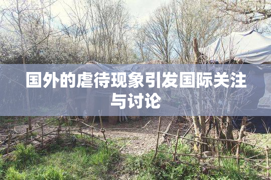 国外的虐待现象引发国际关注与讨论