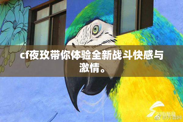 cf夜玫带你体验全新战斗快感与激情。
