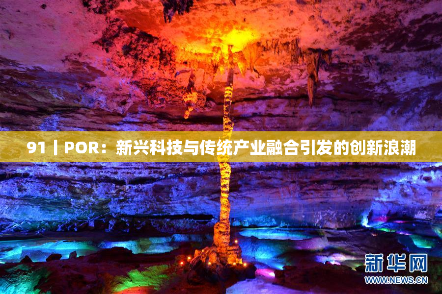 91丨POR：新兴科技与传统产业融合引发的创新浪潮