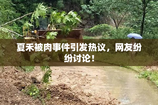 夏禾被肉事件引发热议，网友纷纷讨论！