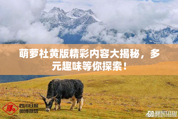 萌萝社黄版精彩内容大揭秘，多元趣味等你探索！