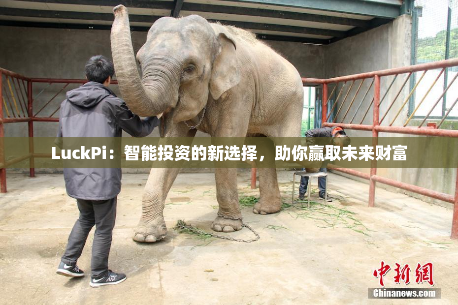 LuckPi：智能投资的新选择，助你赢取未来财富