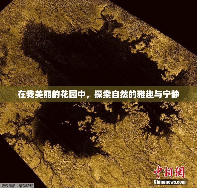 在我美丽的花园中，探索自然的雅趣与宁静