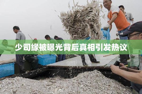 少司缘被曝光背后真相引发热议