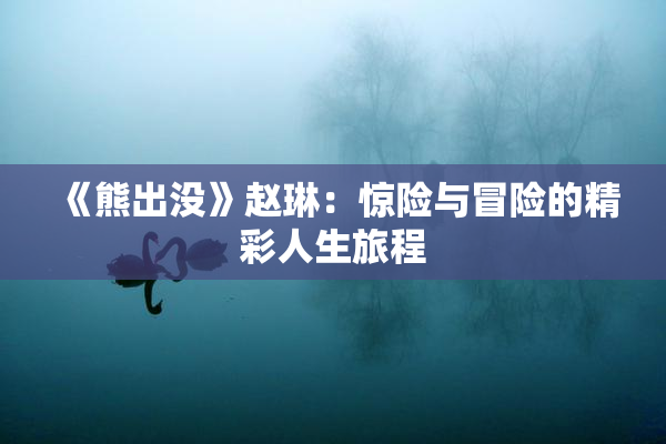《熊出没》赵琳：惊险与冒险的精彩人生旅程