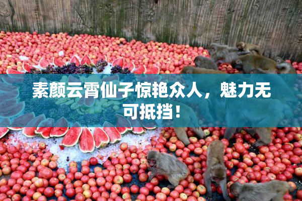 素颜云霄仙子惊艳众人，魅力无可抵挡！