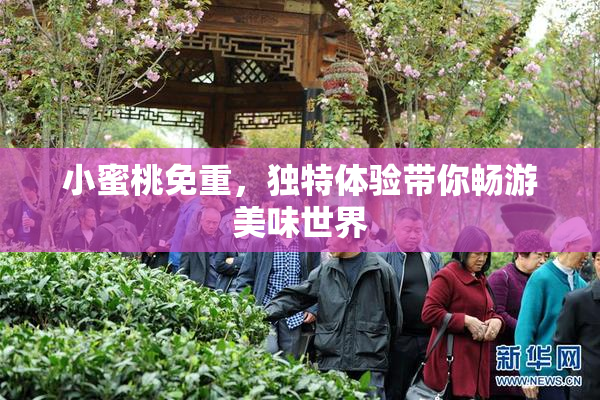 小蜜桃免重，独特体验带你畅游美味世界