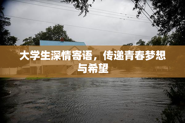 大学生深情寄语，传递青春梦想与希望