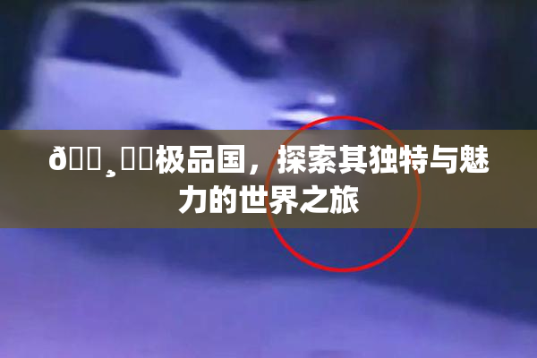 🌸‌✿极品国，探索其独特与魅力的世界之旅