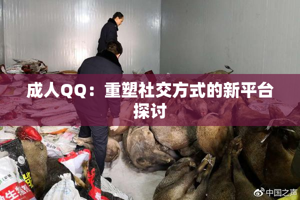 成人QQ：重塑社交方式的新平台探讨