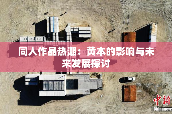 同人作品热潮：黄本的影响与未来发展探讨