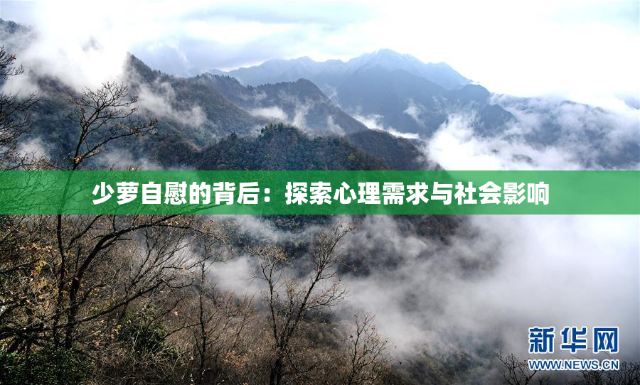 少萝自慰的背后：探索心理需求与社会影响