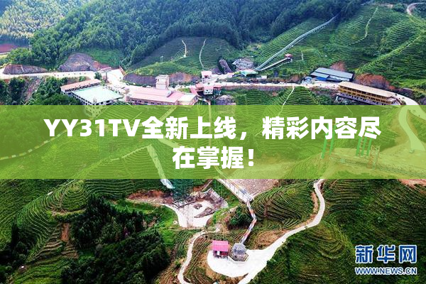YY31TV全新上线，精彩内容尽在掌握！