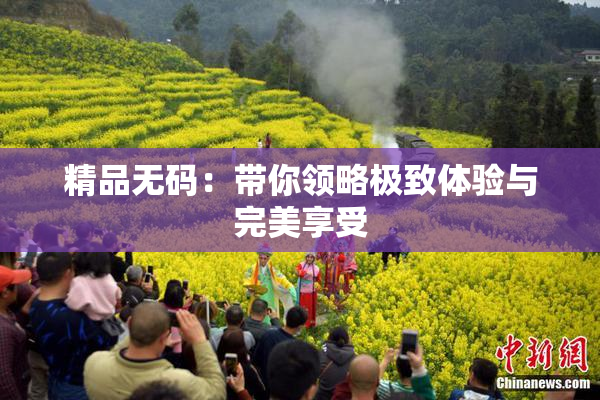 精品无码：带你领略极致体验与完美享受