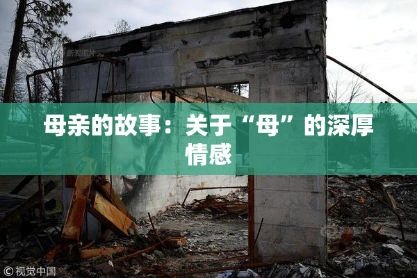 母亲的故事：关于“母”的深厚情感