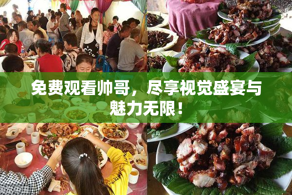 免费观看帅哥，尽享视觉盛宴与魅力无限！