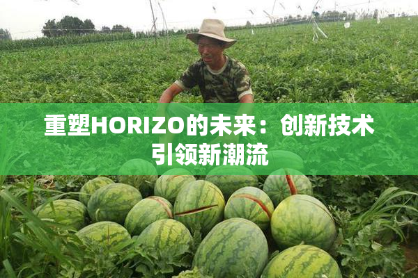 重塑HORIZO的未来：创新技术引领新潮流