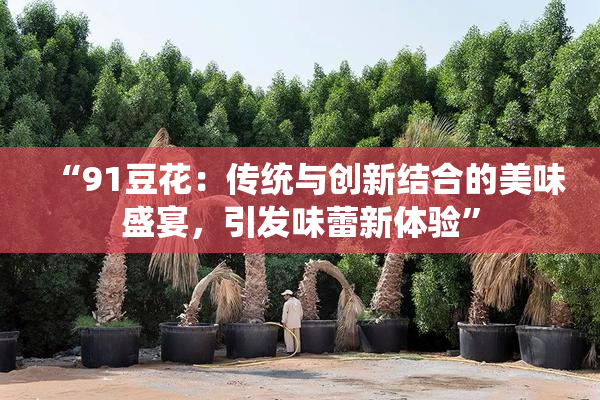 “91豆花：传统与创新结合的美味盛宴，引发味蕾新体验”