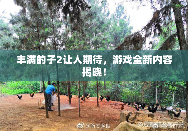 丰满的子2让人期待，游戏全新内容揭晓！
