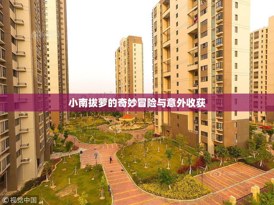 小南拔萝的奇妙冒险与意外收获