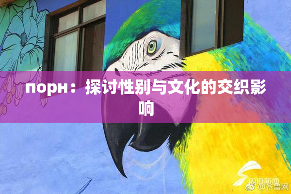 порн：探讨性别与文化的交织影响