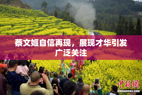 蔡文姬自信再现，展现才华引发广泛关注