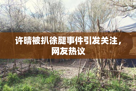 许晴被扒徐腿事件引发关注，网友热议