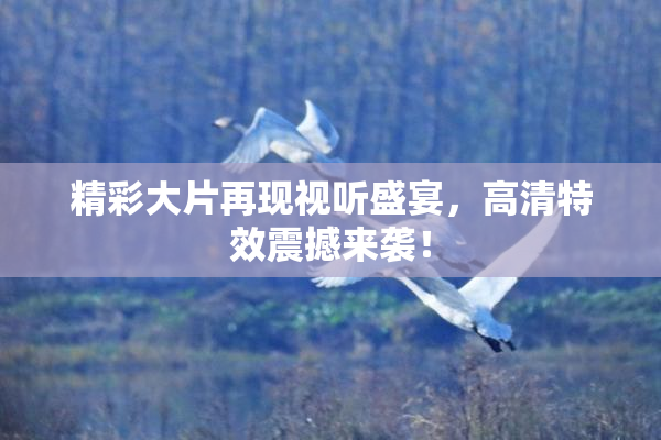精彩大片再现视听盛宴，高清特效震撼来袭！