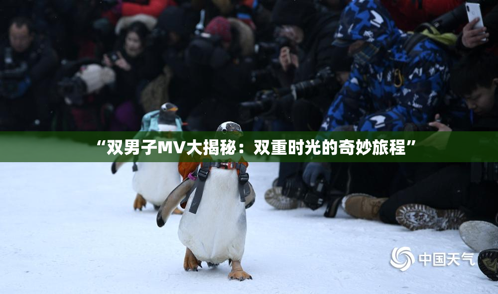 “双男子MV大揭秘：双重时光的奇妙旅程”