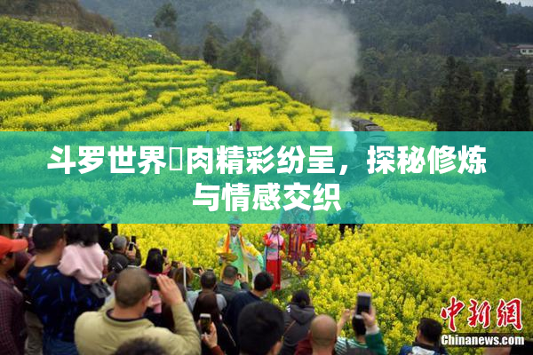 斗罗世界婬肉精彩纷呈，探秘修炼与情感交织