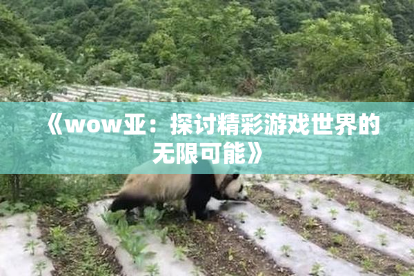 《wow亚：探讨精彩游戏世界的无限可能》