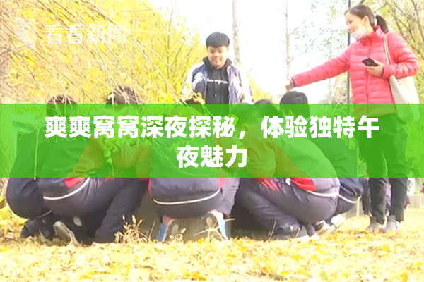 爽爽窝窝深夜探秘，体验独特午夜魅力