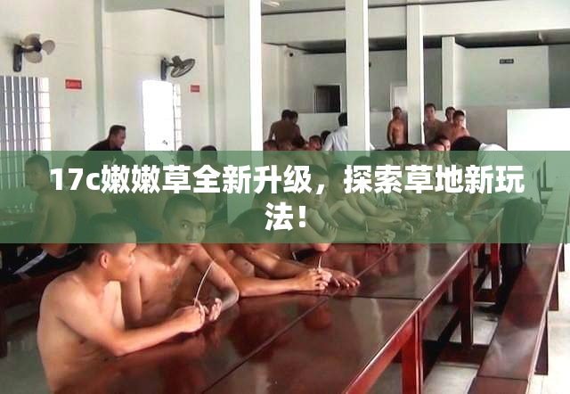 17c嫩嫩草全新升级，探索草地新玩法！