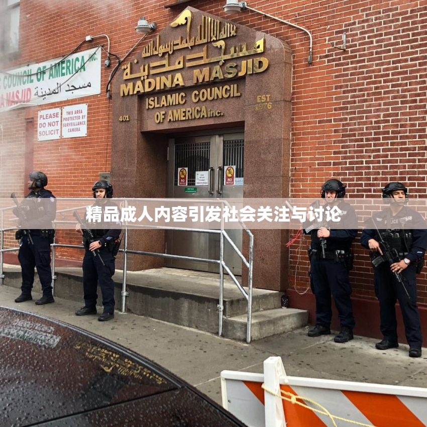 精品成人内容引发社会关注与讨论