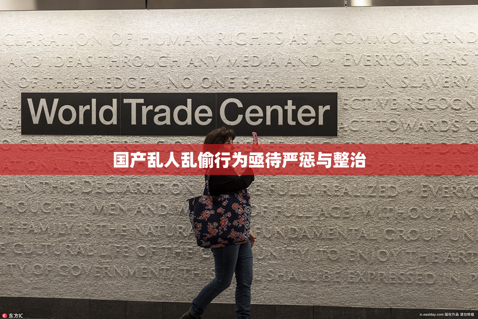 国产乱人乱偷行为亟待严惩与整治