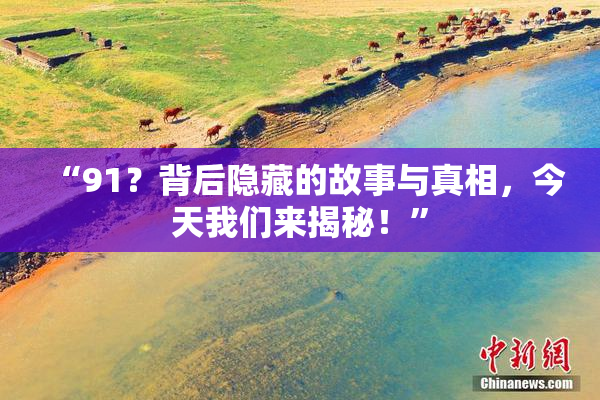 “91？背后隐藏的故事与真相，今天我们来揭秘！”