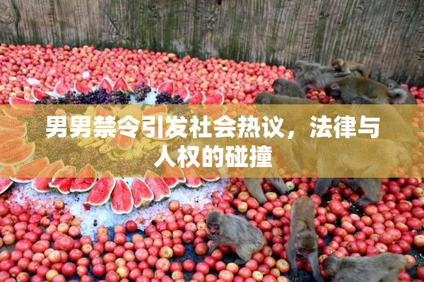 男男禁令引发社会热议，法律与人权的碰撞