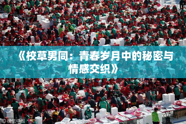 《校草男同：青春岁月中的秘密与情感交织》
